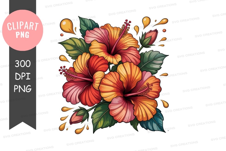 Hibiscus Illustration Image 11