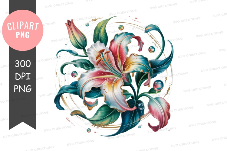 Colorful lily flowers