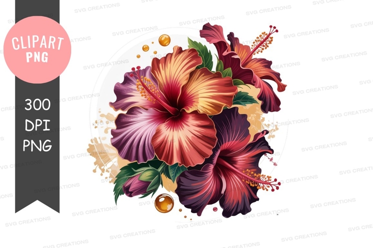 Hibiscus Illustration Image 6