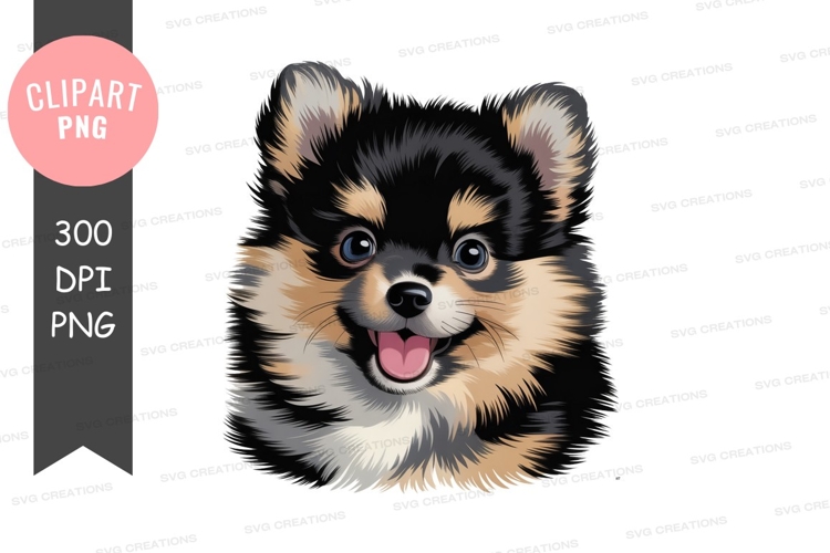 Happy pomeranian puppy clipart png