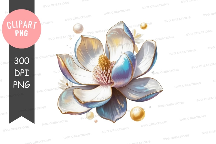 Magnolia Illustration Image 16