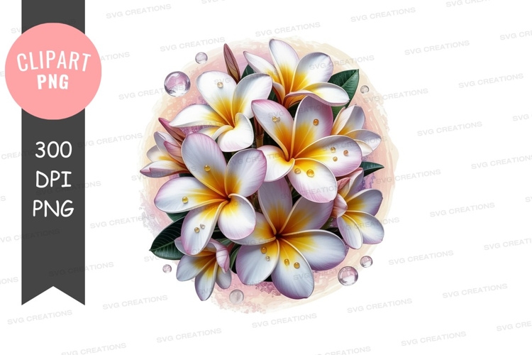 Beautiful bouquet of plumeria flowers