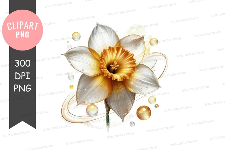 Daffodil Illustration Image 16