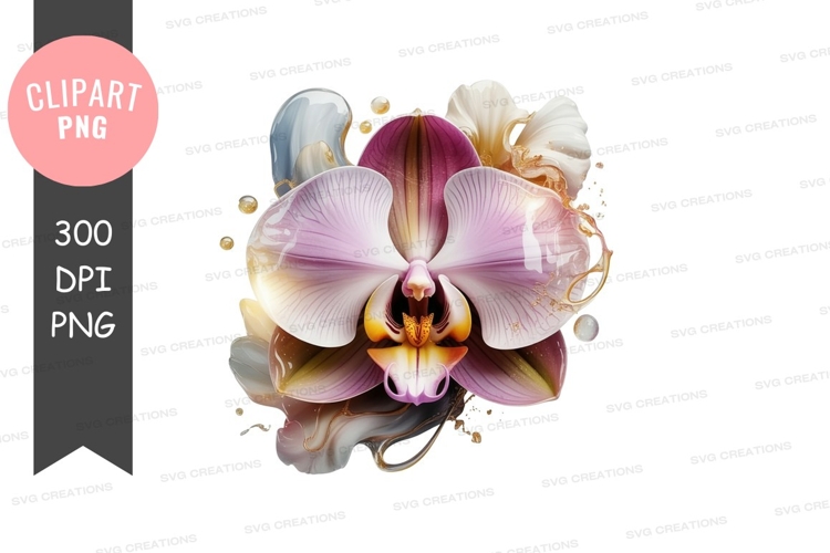 Orchid Png Image 24