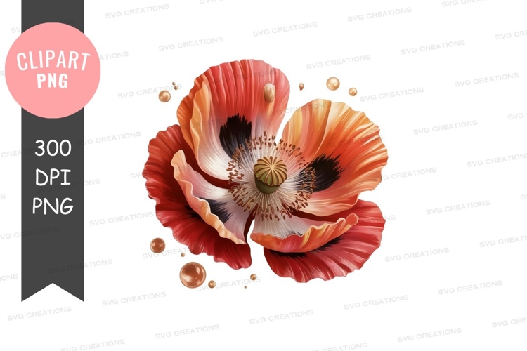 Poppy Clipart Image 7