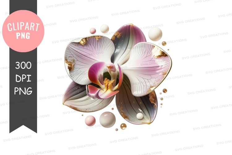 Orchid Png Image 19
