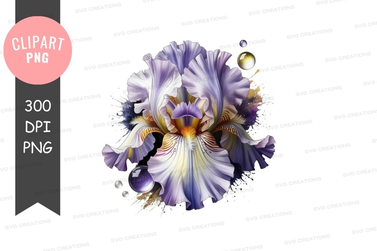 Iris Clipart Image 24