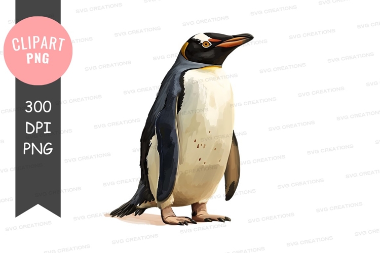 Penguin clipart png