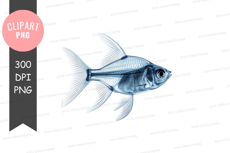Aquarium Clipart Image 13