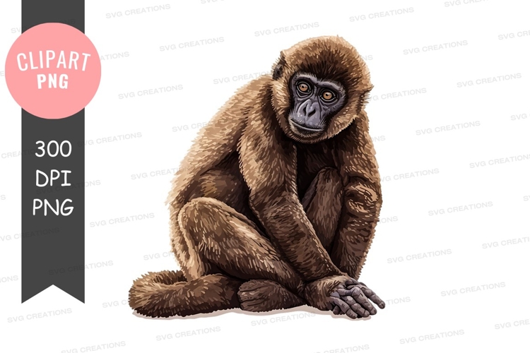 Gorilla Illustration Image 2