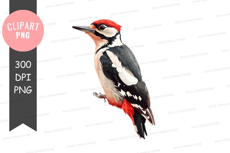Bird Clipart Black and White Image 19