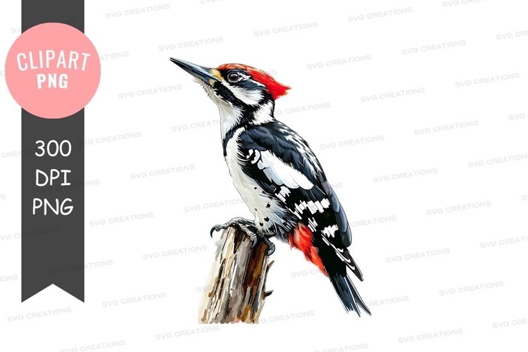 Tree Branch Png Image 23