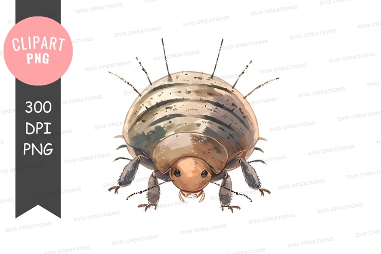 Insect Clipart