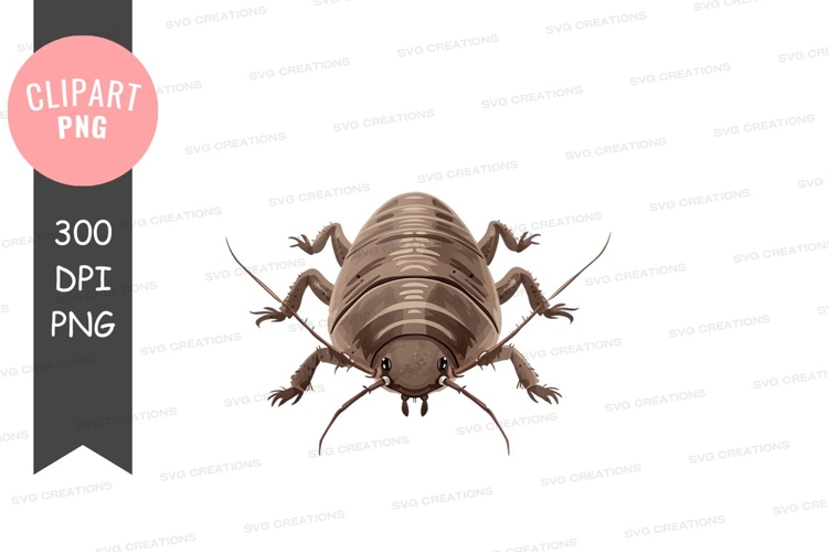 Cockroach Clipart Image 7