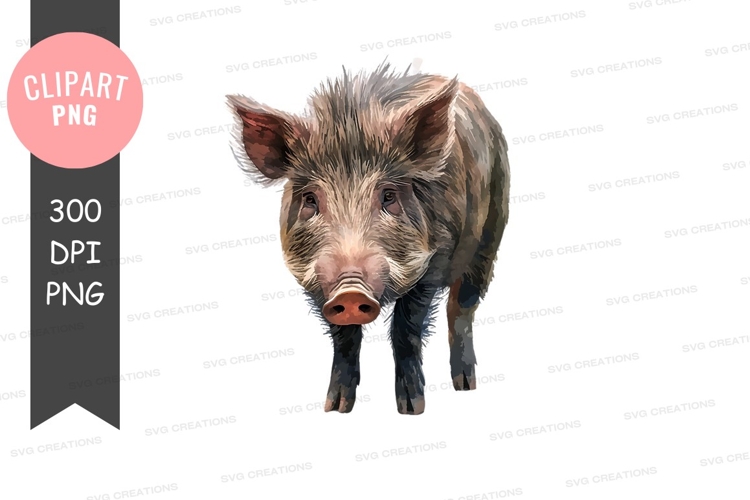 Cute piglet clipart png