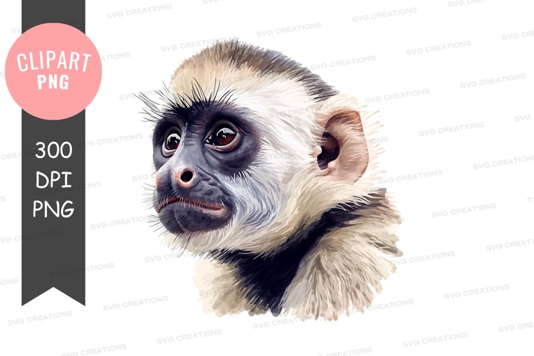Monkey Png Image 8