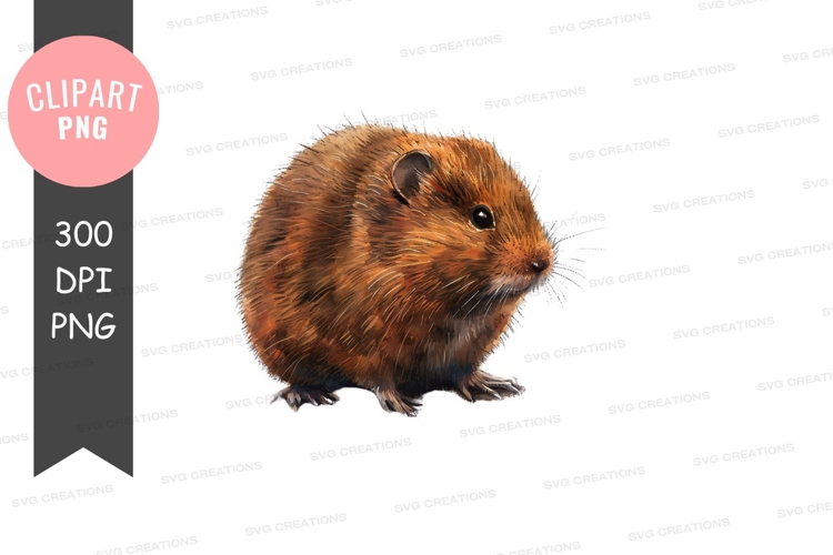 Shark Clipart Image 19