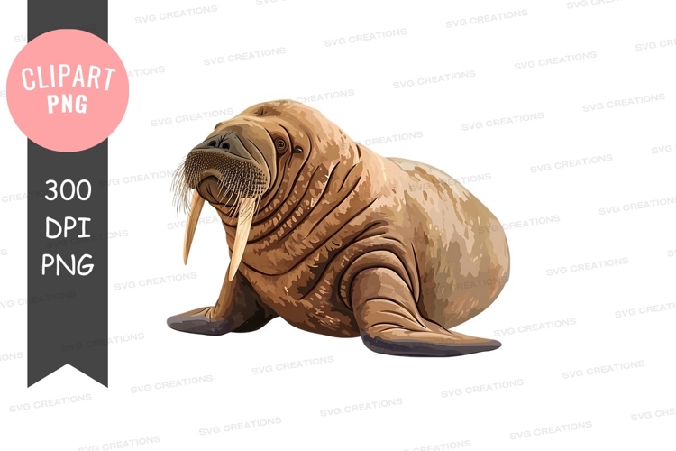 Penguin Cartoon Image 5