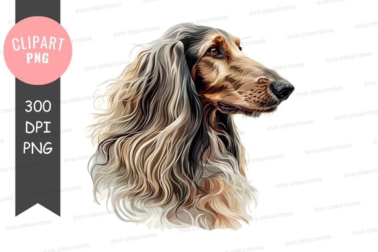 Portrait of an afghan hound