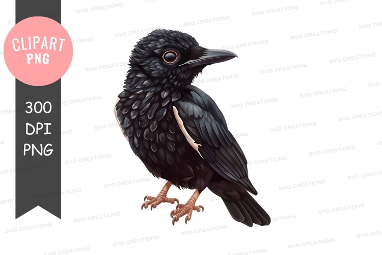 Tree Branch Png Image 22