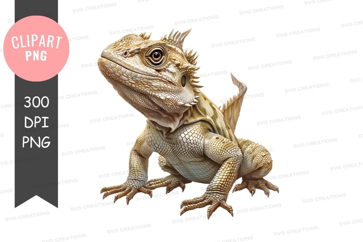 Bearded Dragon Clipart Image 14