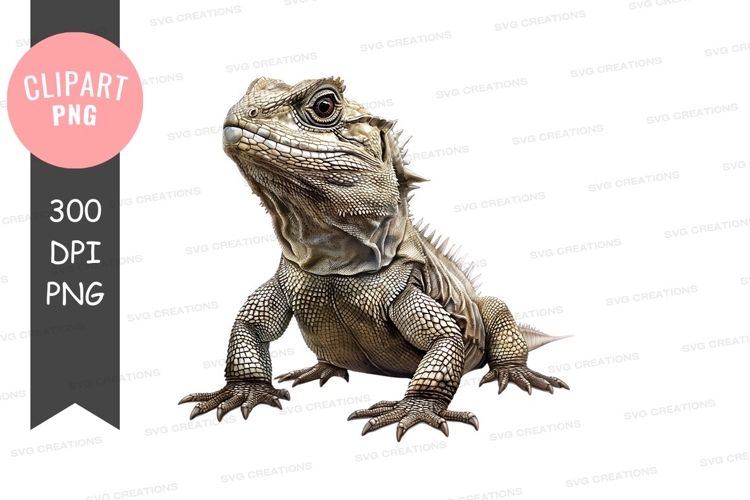 Majestic lizard clipart png