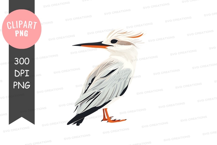 White bird clipart png