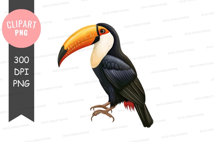 Feathers Clipart Image 17