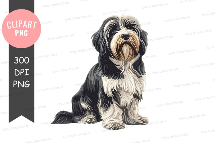 Portrait of a shih tzu dog