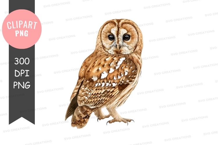 Feathers Clipart Image 16