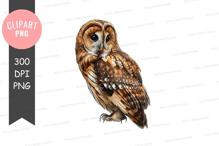 Feather Illustration Image 2