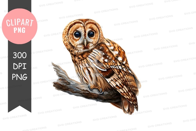 Feathers Clipart Image 15