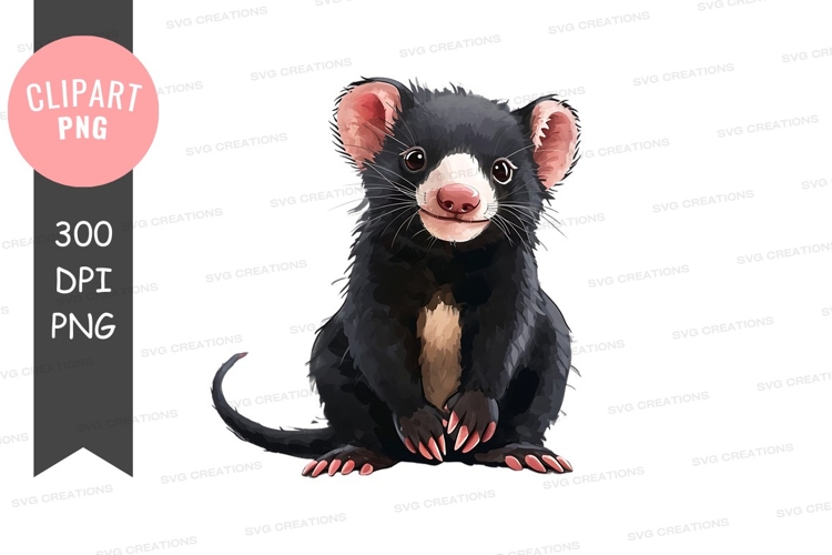 Possum Clipart Image 11