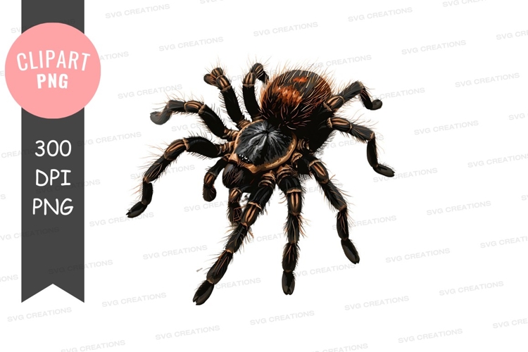 Insect Clipart Image 20