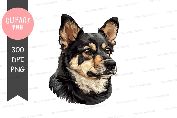 Pet Illustration Image 22