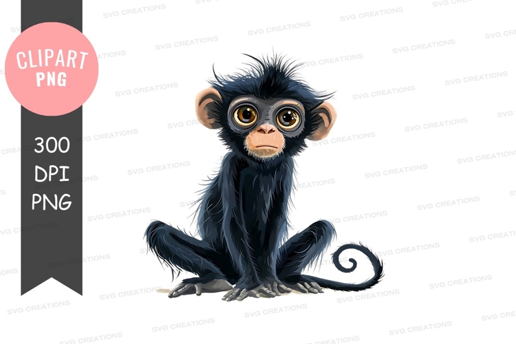 Monkey Png Image 20