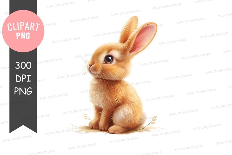 Cute bunny rabbit sitting