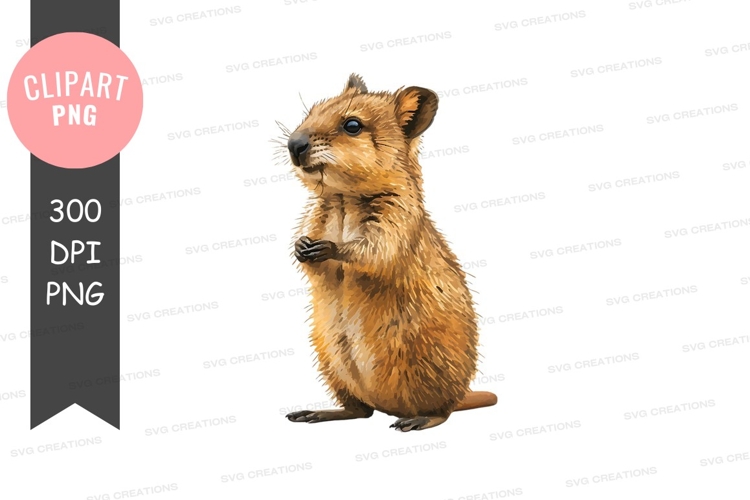 Ears Clipart Image 8