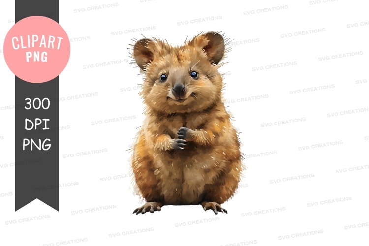 Frog Clipart Image 13