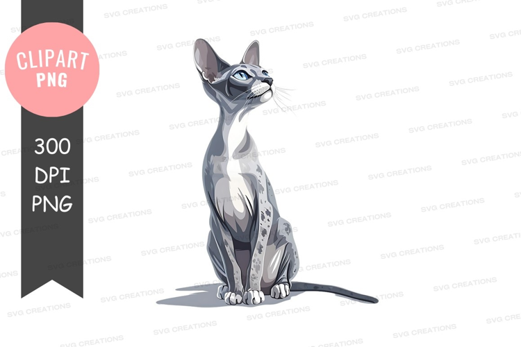Elegant grey cat sitting