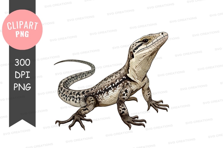 Lizard Clipart Image 22