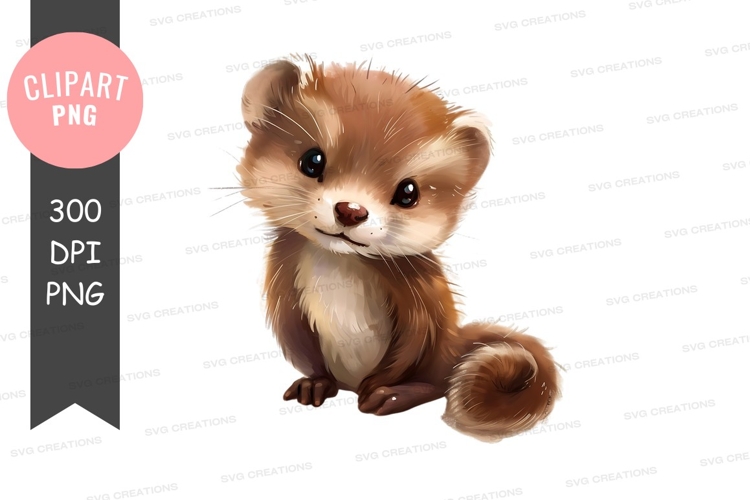Ferret Clipart