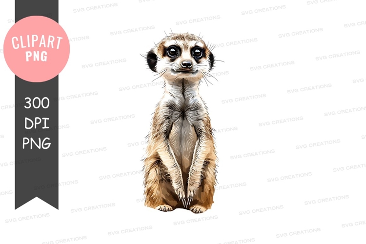 Stecknadel Png Image 24