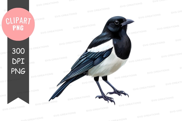 Black And White Bird Clipart Image 5