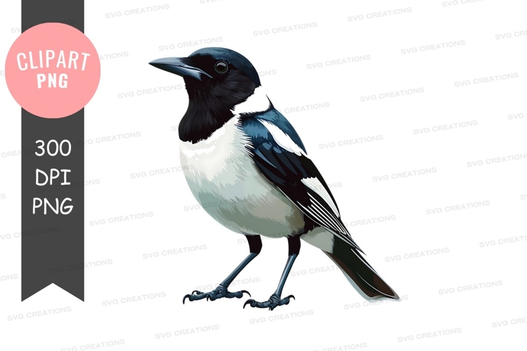 Black And White Bird Clipart Image 4