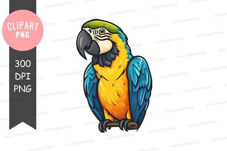 Macaw Clipart Image 12