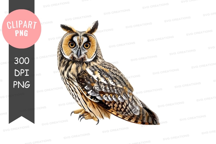 Wings Clipart Image 6