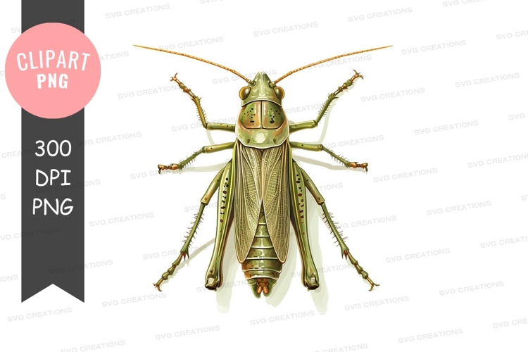 Grasshopper Clipart Image 21