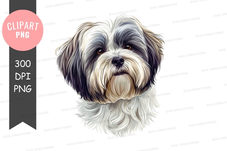 Portrait of a shih tzu