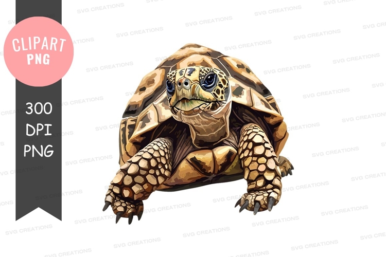 Turtle Clipart Image 7